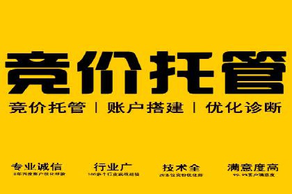 SEM竞价员的核心技能与成功案例解析